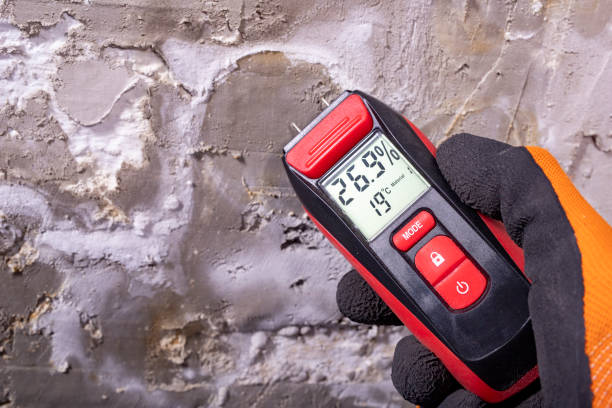 Best Mold Remediation  in Village Shires, PA