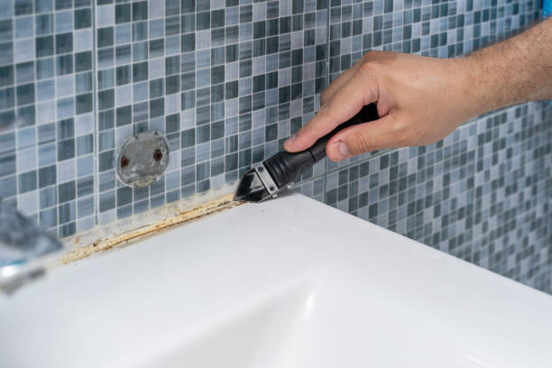 Home Mold Removal in Village Shires, PA