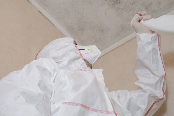 Best Mold Damage Repair  in Village Shires, PA