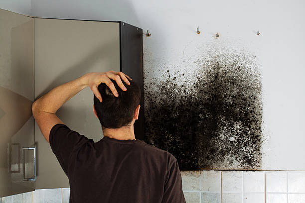 Best Professional Mold Removal  in Village Shires, PA